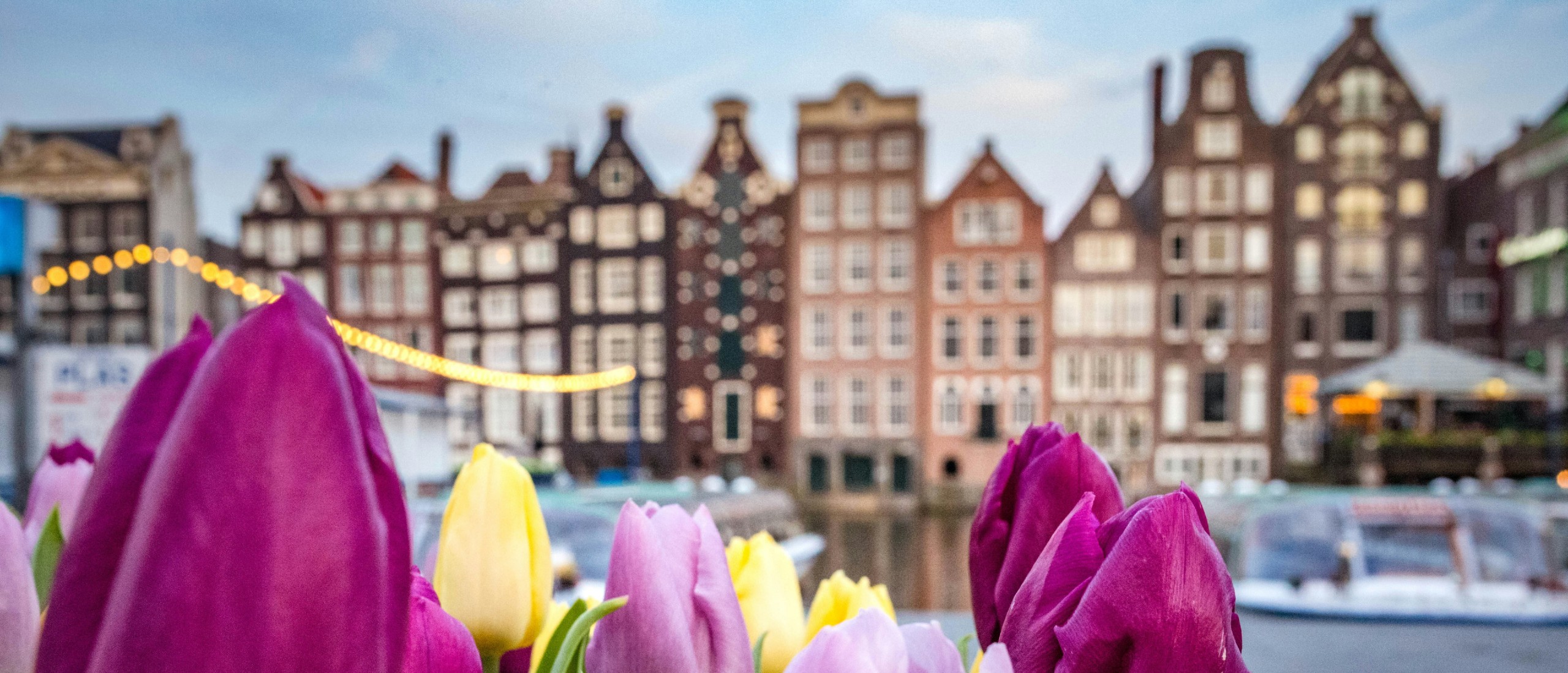 Tulips and a view of Amsterdam.
