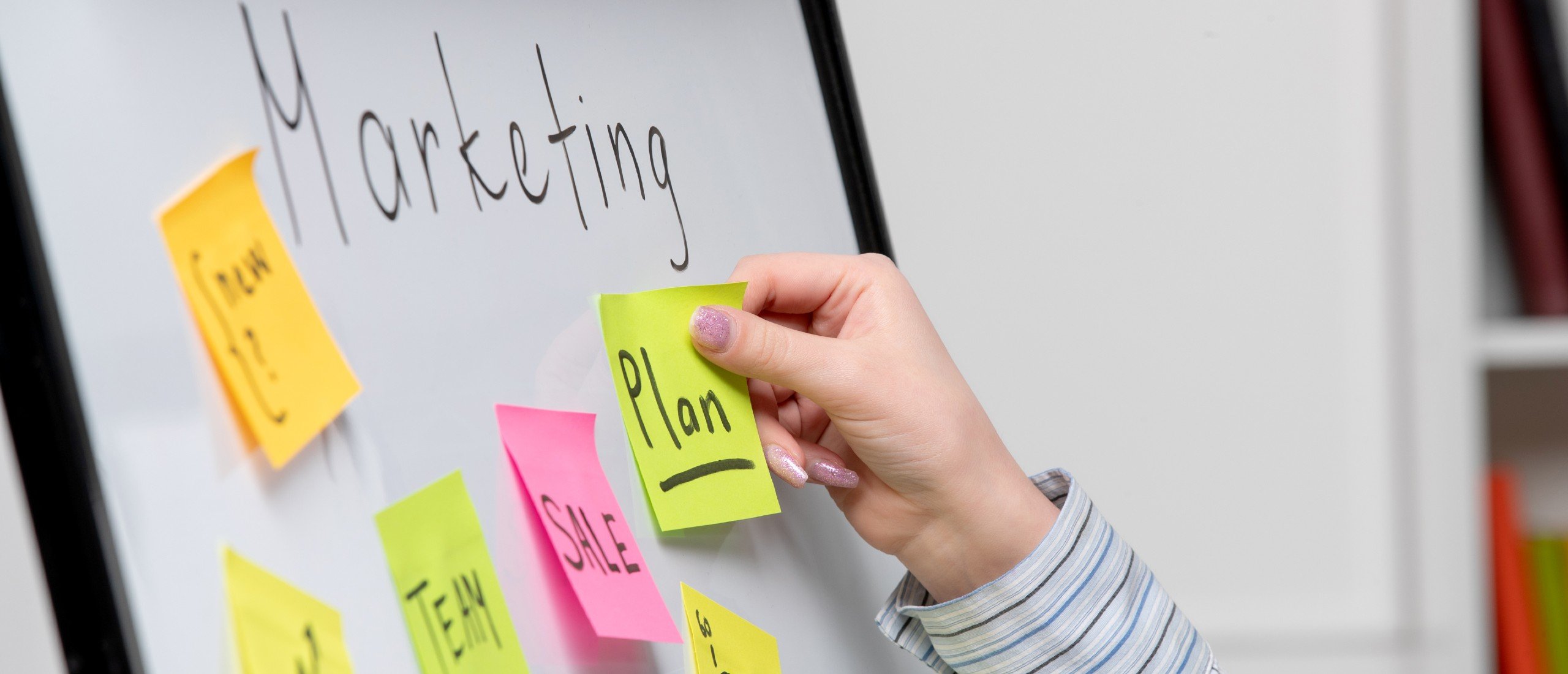 A marketing expert works on a plan.