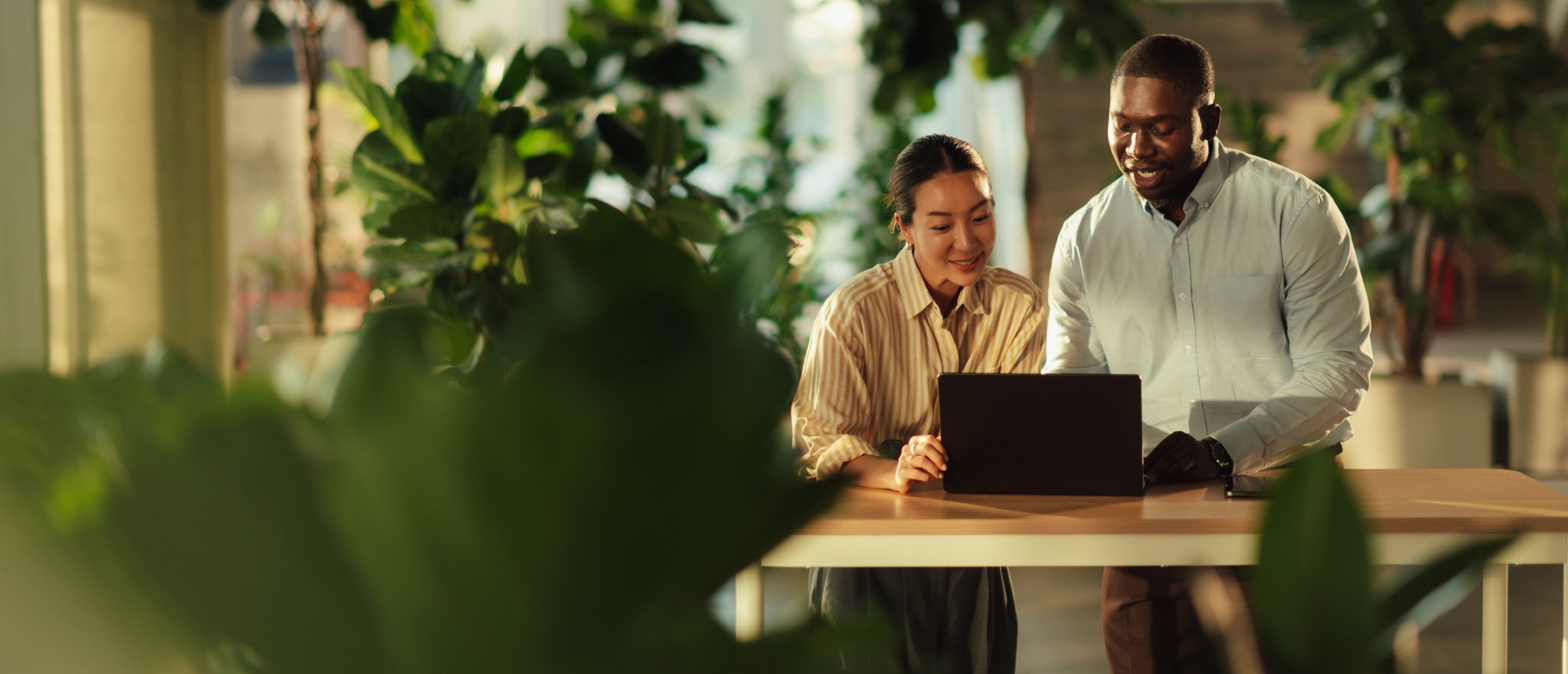 Plant shop owners review a plan on their laptop.
